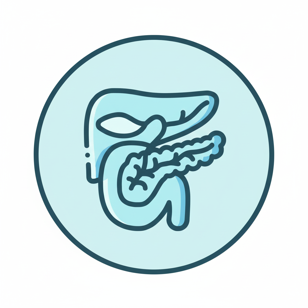 Hepatobiliary Anatomy