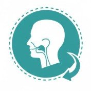 Head and Neck Anatomy