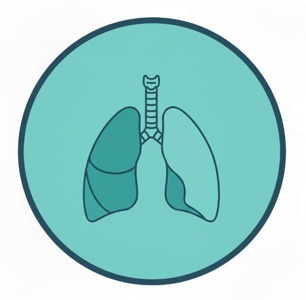 Thoracic and Lung Anatomy